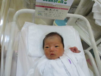 橋本　椿（つばき）ちゃん