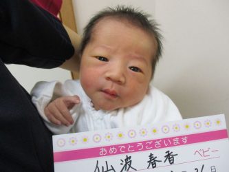 仙波　桃（もも）ちゃん