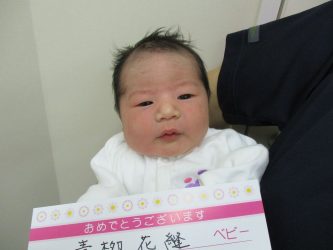 青柳　枇奈（ひな）ちゃん