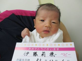 伊藤　琥蓮（くれん）ちゃん