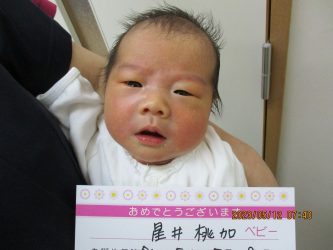星井　愛湖（あこ）ちゃん