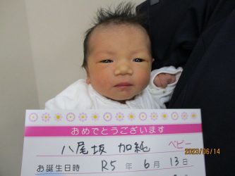 八尾坂　和花（わか）ちゃん