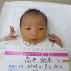 髙井　衣湖（いこ）ちゃん