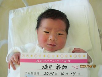 堀井　鈴乃（すずの）ちゃん　