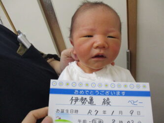 伊勢亀　大和（やまと）くん